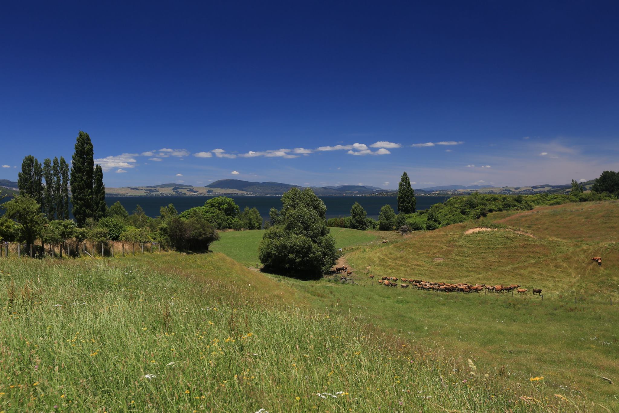 mare montagne campagna